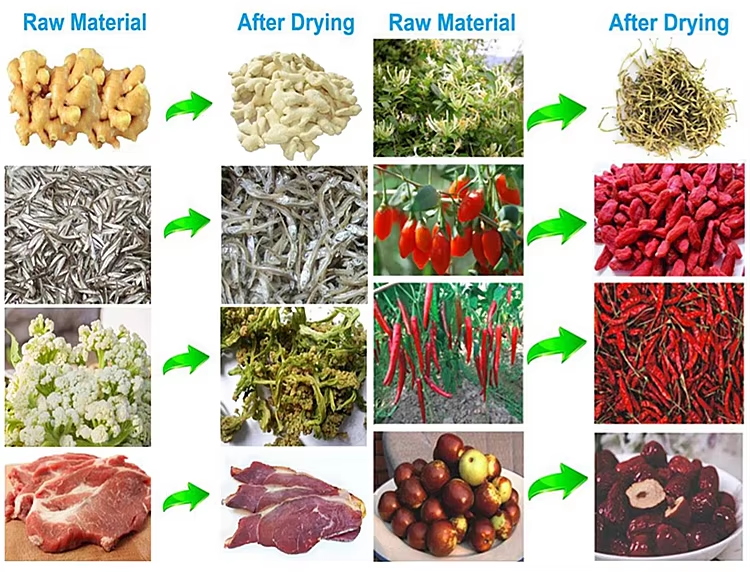 food dryer machine5.png