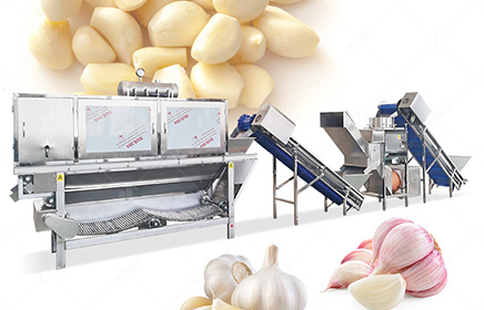 Commercial Continuous Garlic Peeler Machine for Sale