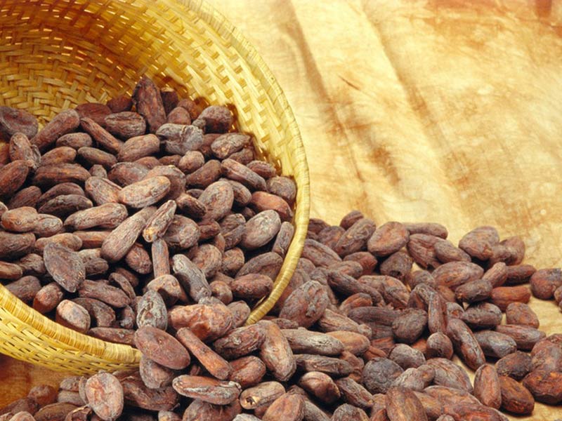 cocoa-beans.jpg