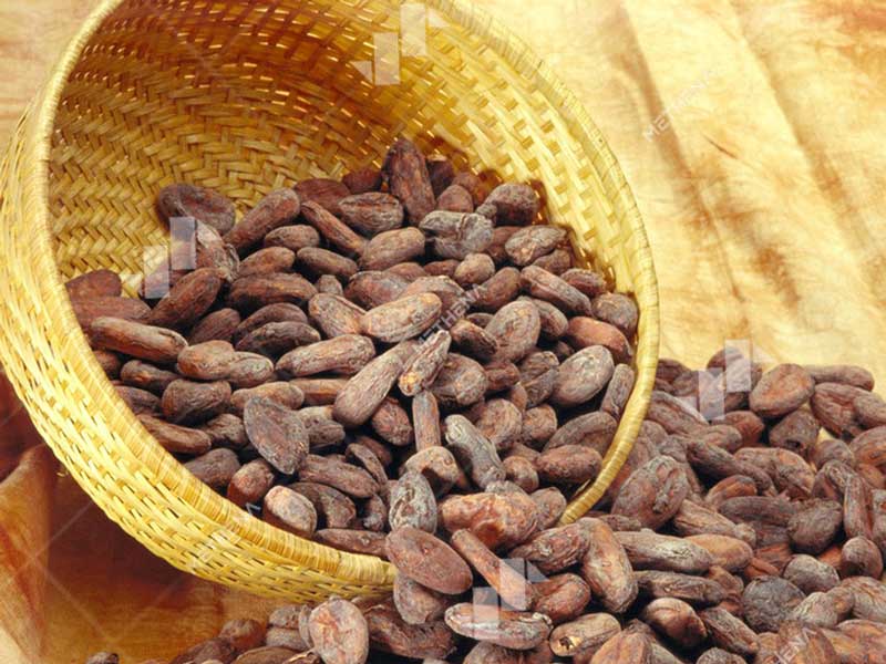 Bone Crusher Machine For Cacao Beans.jpg