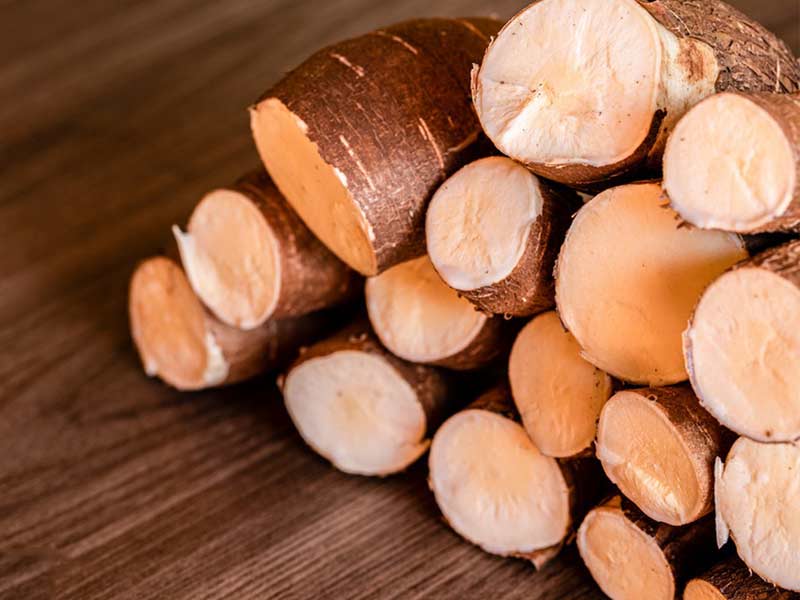 cassava.jpg
