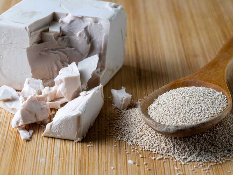yeast.jpg