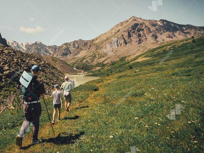 Hydroponic Fodder Container System for Remote Area.jpg