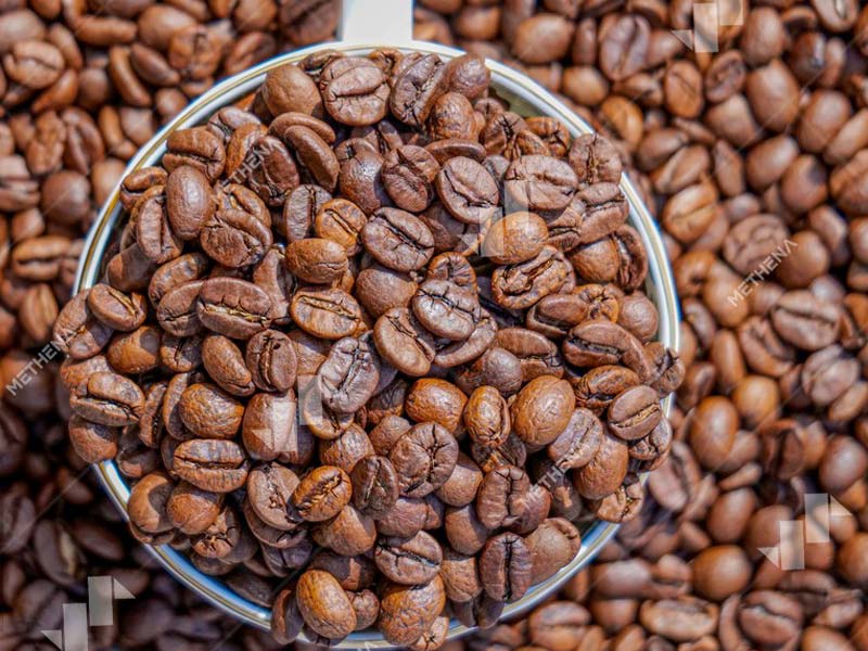 Coffee Bean.jpg